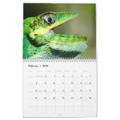 Calendrier Anoles 2012 (Feb 2026)