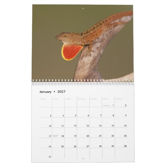 Calendrier Anoles 2012 (Jan 2027)