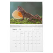 Calendrier Anoles 2018 - Une production d'annales d'Anole (Feb 2027)