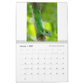 Calendrier Anoles 2018 - Une production d'annales d'Anole (Jan 2027)