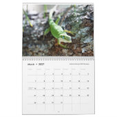 Calendrier Anoles 2018 - Une production d'annales d'Anole (Mar 2027)
