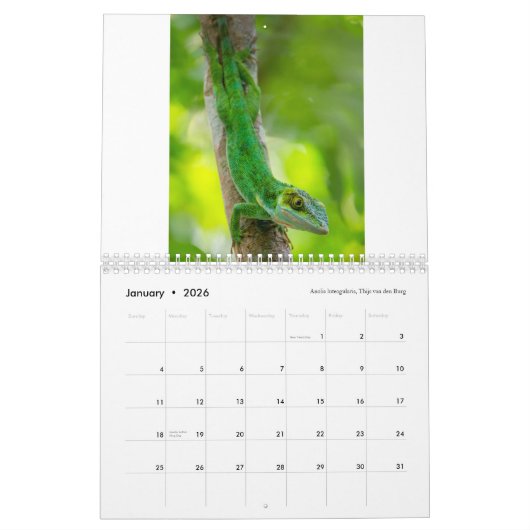 Calendrier Anoles 2018 - Une production d'annales d'Anole (Jan 2026)