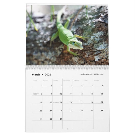 Calendrier Anoles 2018 - Une production d'annales d'Anole (Mar 2026)