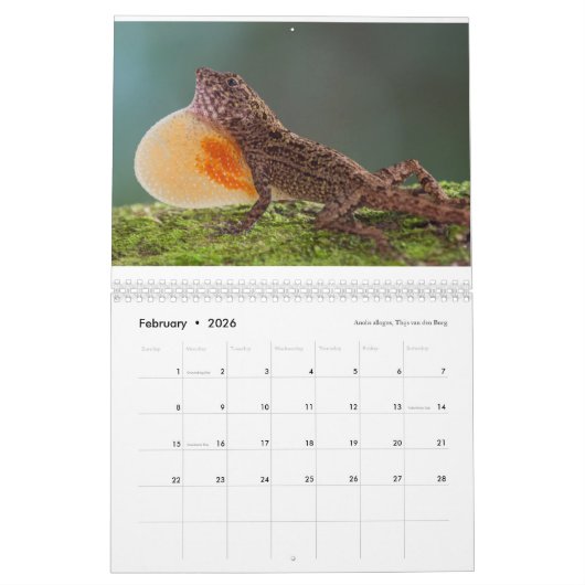 Calendrier Anoles 2018 - Une production d'annales d'Anole (Feb 2026)