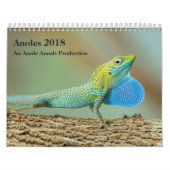 Calendrier Anoles 2018 - Une production d'annales d'Anole (Protection)