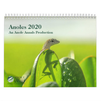 Calendrier Anoles 2020 - Production d'anneaux
