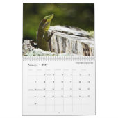 Calendrier Anoles obscur 2016 - une production d'annales (Feb 2027)