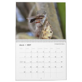 Calendrier Anoles obscur 2016 - une production d'annales (Mar 2027)