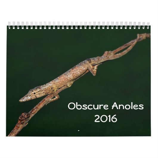Calendrier Anoles obscur 2016 - une production d'annales (Protection)