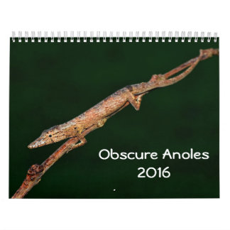 Calendrier Anoles obscur 2016 - une production d'annales