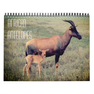Calendrier antilopes africaines 2025