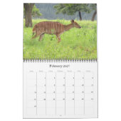 Calendrier antilopes africaines 2027 (Feb 2027)