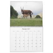 Calendrier antilopes africaines 2027 (Jan 2027)