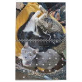 Calendrier AP Kittens 2 ans (Feb 2027)