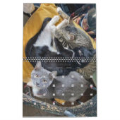 Calendrier AP Kittens 2 ans (Feb 2026)