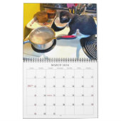 Calendrier AP Kittens 2 ans (Mar 2026)