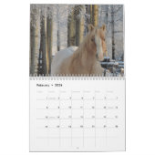 Calendrier Appaloosa (Feb 2026)