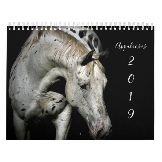 Calendrier Appaloosa (Protection)