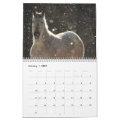 Calendrier Appaloosa (Jan 2027)