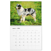 Calendrier Aquarelle de chien de bétail de berger australien  (Mar 2026)