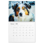 Calendrier Aquarelle de chien de bétail de berger australien  (Feb 2026)