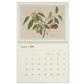Calendrier Aquarelle Fruit Asiatique Décor Ferme Moderne (Jan 2026)