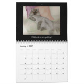 Calendrier Aquarelle Peintures de Nan's (Jan 2027)