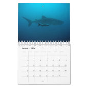 Calendrier Aquarium (Feb 2026)