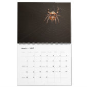 Calendrier Arachnid Snare (Mar 2027)