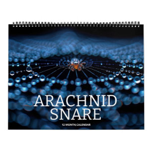 Calendrier Arachnid Snare