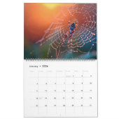 Calendrier Arachnid Snare (Jan 2026)