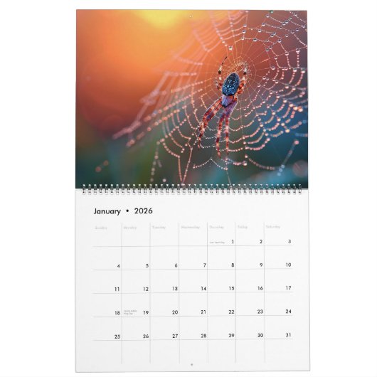 Calendrier Arachnid Snare (Jan 2026)