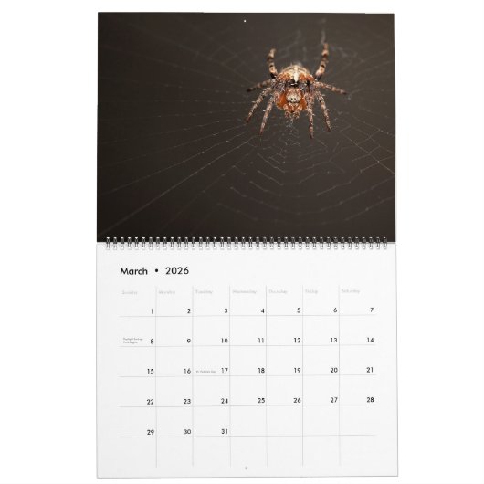 Calendrier Arachnid Snare (Mar 2026)