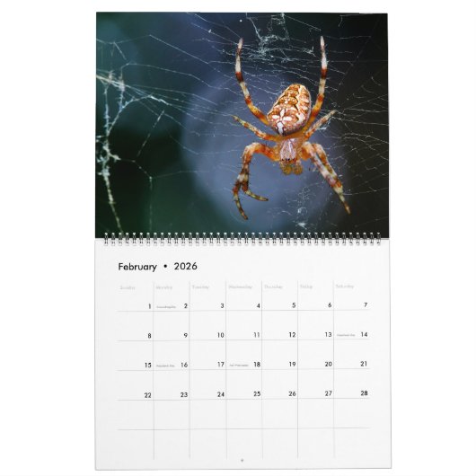 Calendrier Arachnid Snare (Feb 2026)