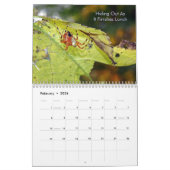 Calendrier Arachnids (Feb 2026)