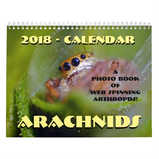 Calendrier Arachnids (Protection)