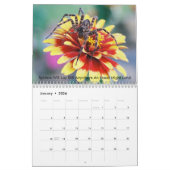Calendrier Arachnids (Jan 2026)