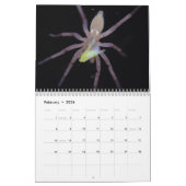 Calendrier Arachnids Araignées Extraordinaires (Feb 2026)