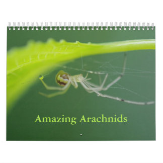 Calendrier Arachnids Araignées Extraordinaires