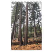 Calendrier Arbre (Protection)