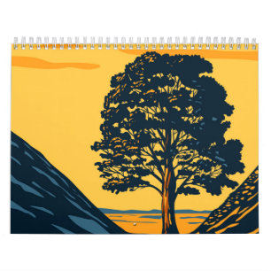 Calendrier Arbre Sycamore