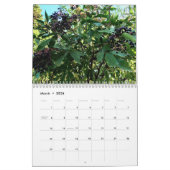 Calendrier Arbres (Mar 2026)