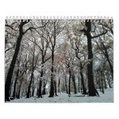 Calendrier Arbres (Protection)