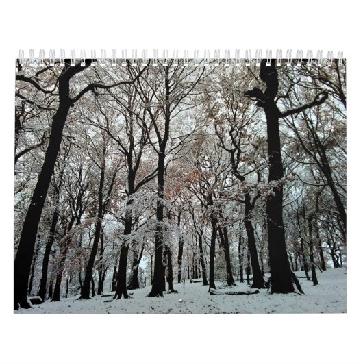 Calendrier Arbres (Protection)