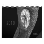Calendrier Arbres 2010 (Protection)