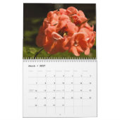 Calendrier Arc-en-ciel 2014 des fleurs (Mar 2027)