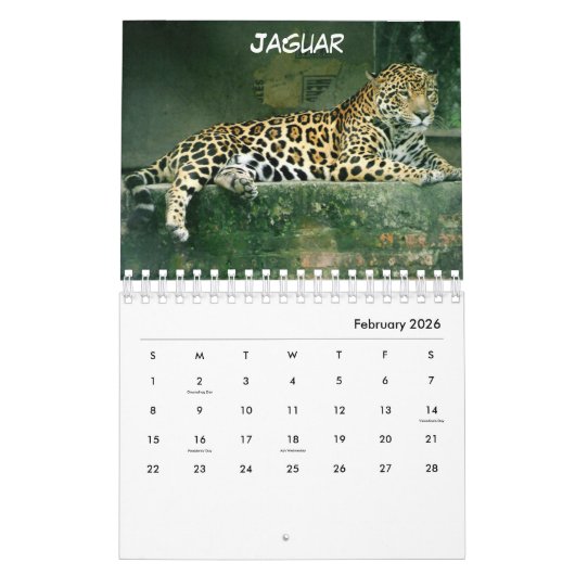 Calendrier Argentine (Feb 2026)