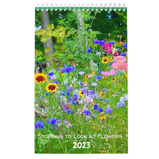 Calendrier Arrêter de regarder les fleurs en 2023 (Protection)