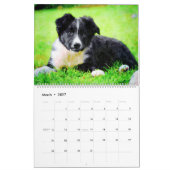 Calendrier Art d'aquarelle de 12 de mois de border collie (Mar 2027)