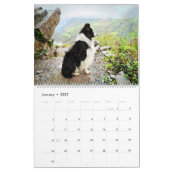 Calendrier Art d'aquarelle de 12 de mois de border collie (Jan 2027)